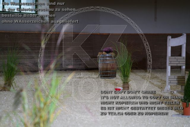 s_K3F02514.JPG
